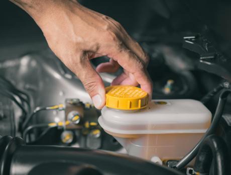 Brake Fluid Replacement - Brake Fluid Replacement